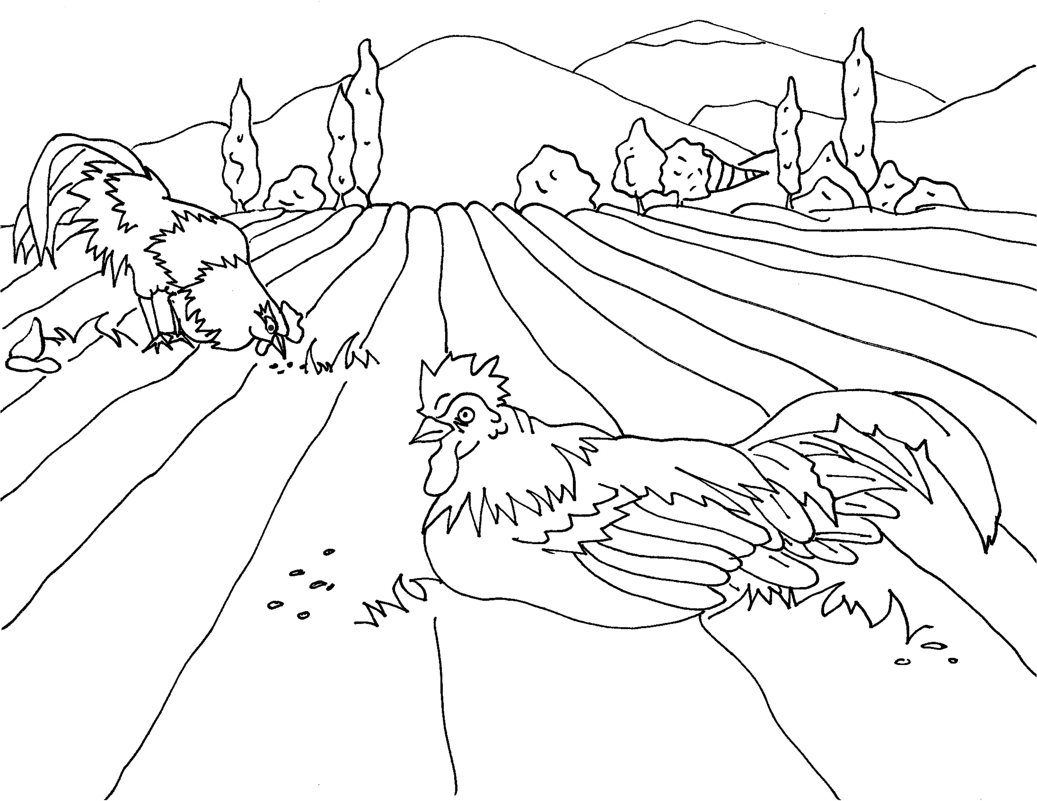 Campagne 2